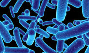 Biological Tests